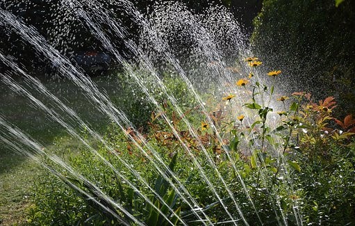 L’arrosage des pelouses est interdit, tout comme le lavage des voitures. L’arrosage des plates-bandes et des potagers demeure autorisé à partir d’un arrosoir manuel ou d’un boyau muni d’un dispositif d’arrêt automatique.