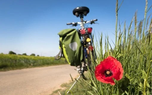 Les inscrits récoltent des dons et doivent se préparer à rouler en même temps que le feront tous les autres participants le 11 ou le 12 juillet (c’est aussi à eux de décider).