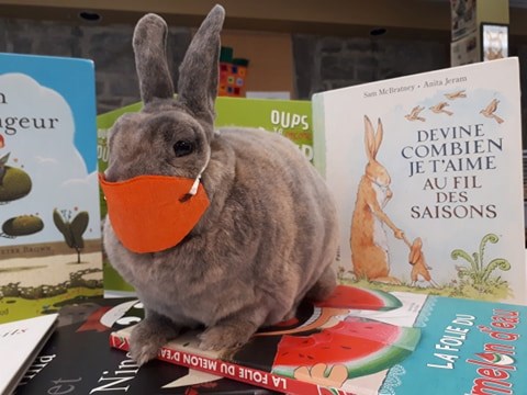 Même M. Mô devra se soumettre aux consignes!