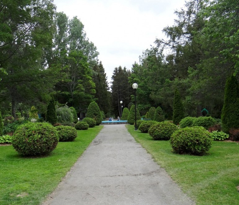 À Rimouski, des travaux d’abattage d’arbres au parc Lepage en cours