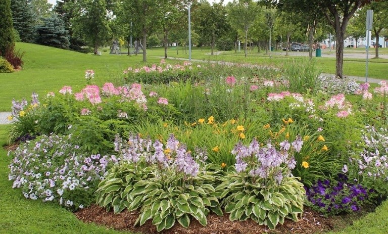 La Ville de Rimouski conserve ses quatre fleurons