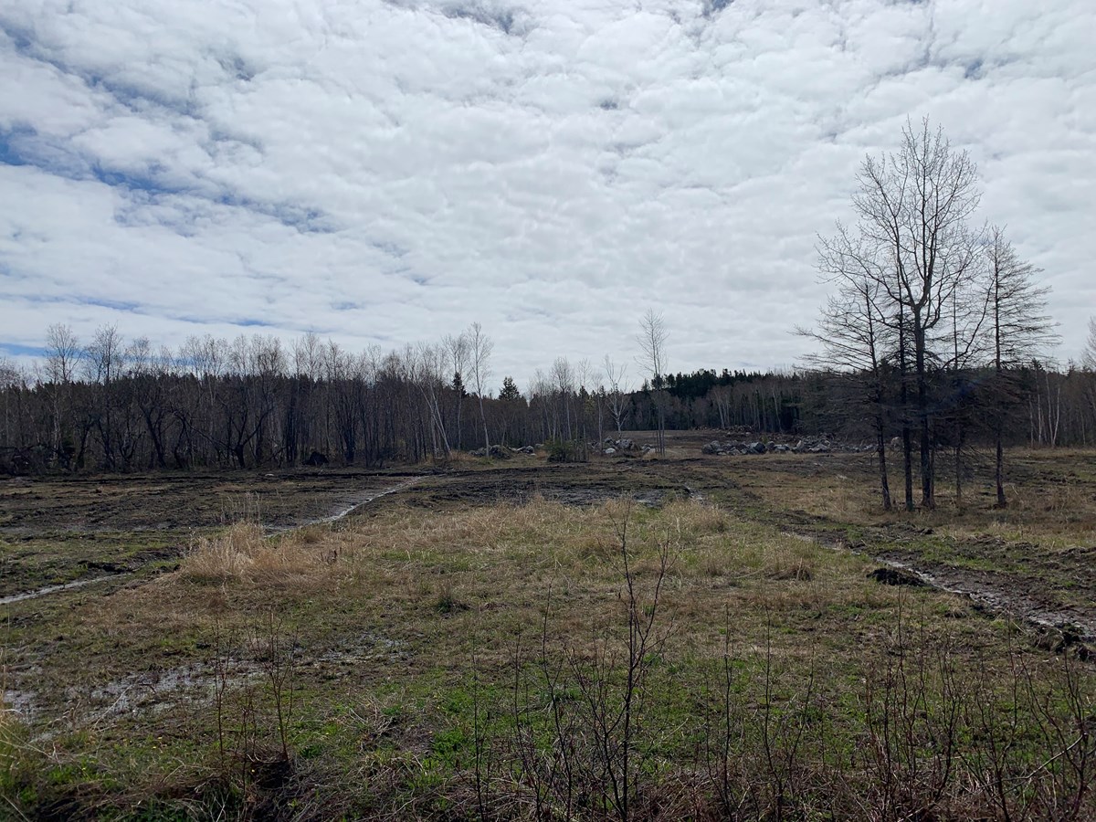 Nouvelle école à Rivière-du-Loup : le terrain maintenant choisi
