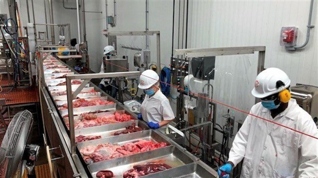Ajustements des mesures sanitaires dans les milieux de travail