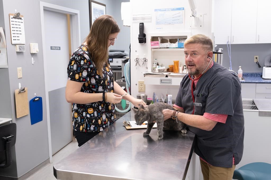 La santé mentale des vétérinaires canadiens se détériore