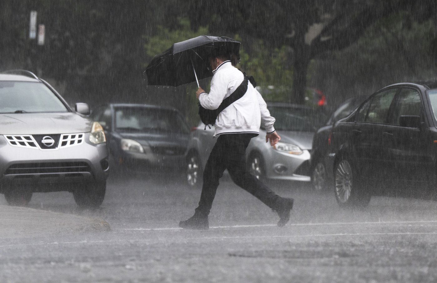 Les restes de la tempête Debby feront tomber des pluies abondantes sur la province