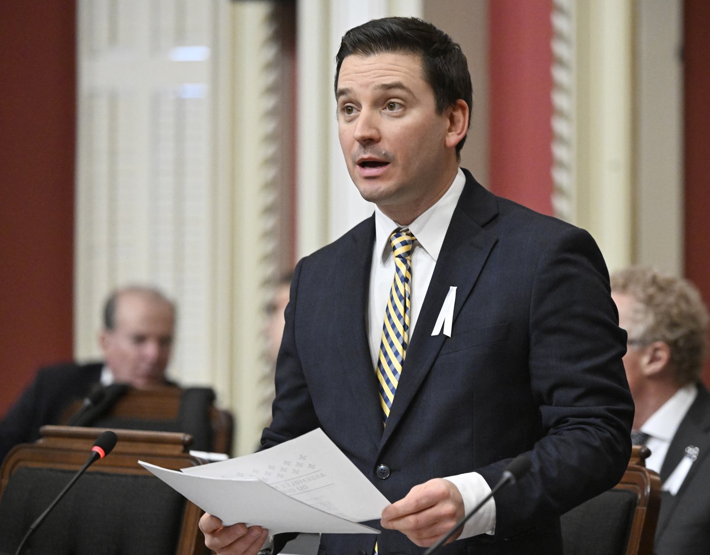 Constitution: Jolin-Barrette met en garde l'opposition contre l'obstruction