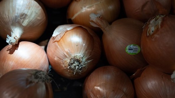 Le premier portrait de l'alimentation des Québécois a été publié