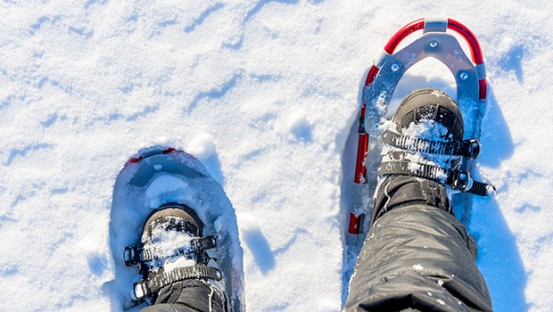 Redécouvrez les plaisirs de l'hiver avec le programme Cardio-Raquette