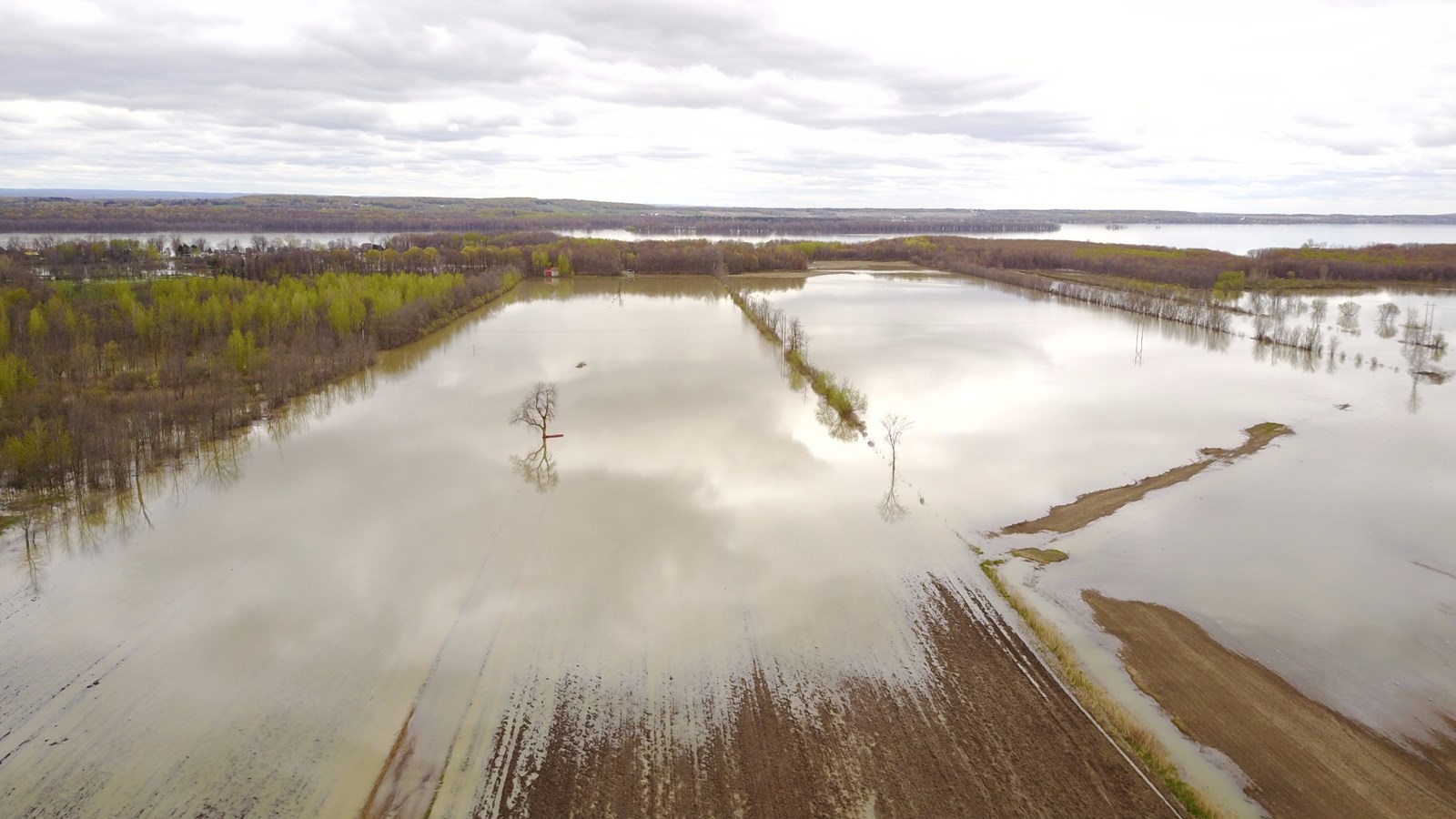 Rigaud