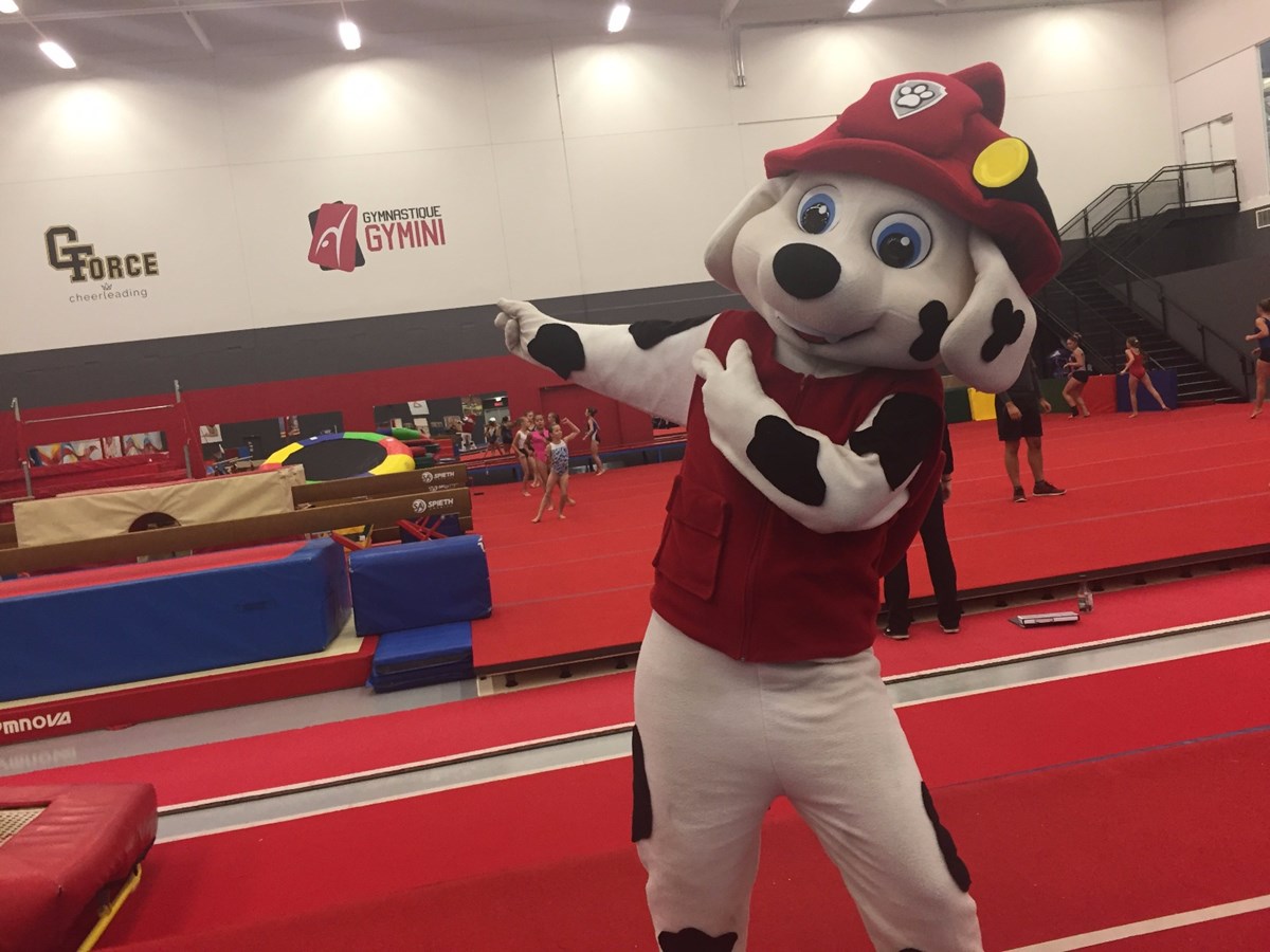 Amusez-vous en famille au Club de Gymnastique Gymini