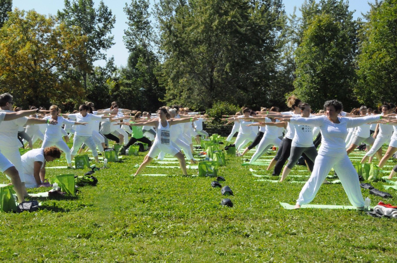 Sangha Fest : une première édition réussie