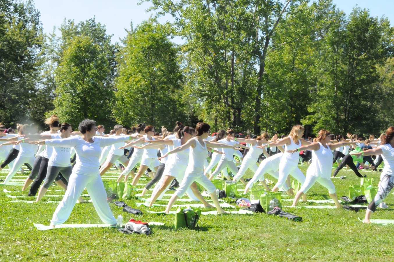 Sangha Fest : une première édition réussie