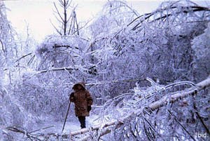 Il y a 20 ans, le crise du verglas paralysait le Québec