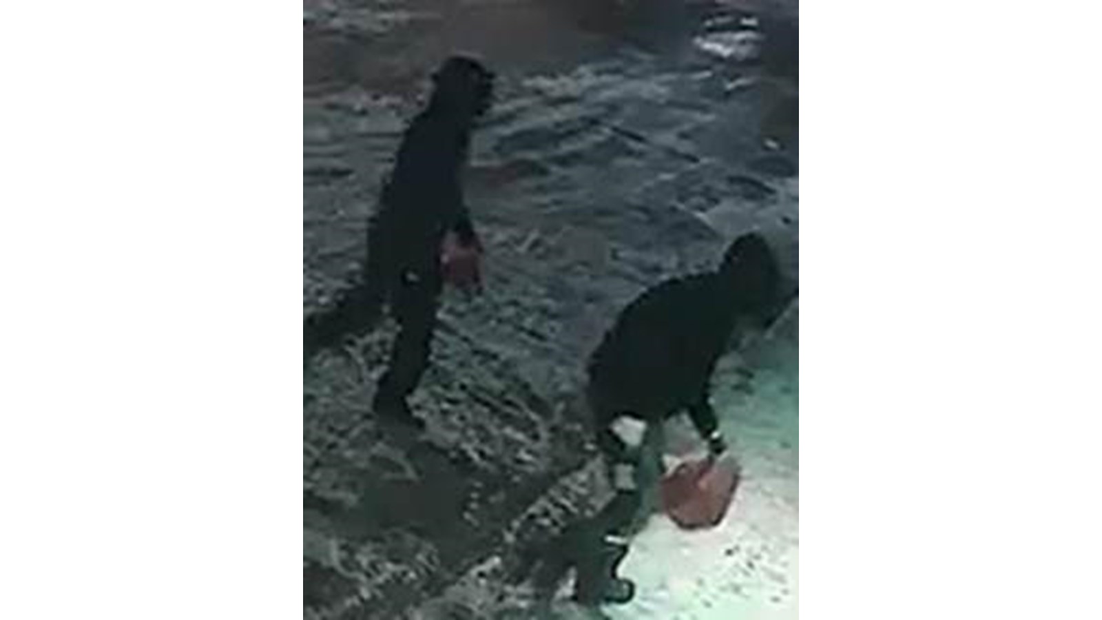 Les deux suspects en action. 