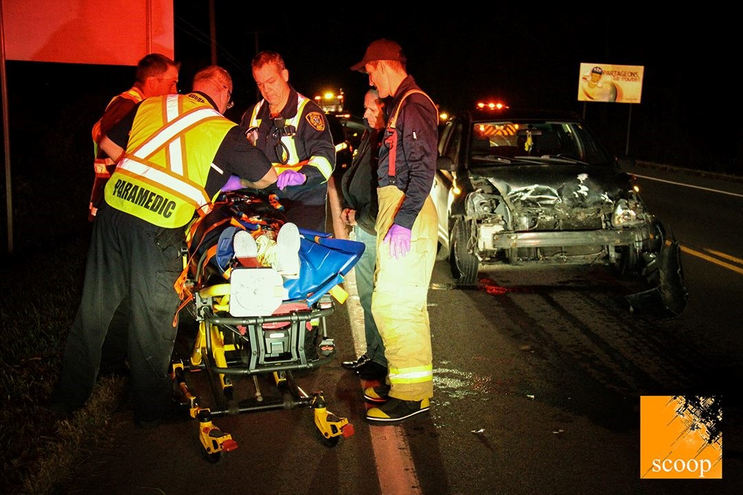 Collision entre une voiture et un chevreuil à Les Cèdres