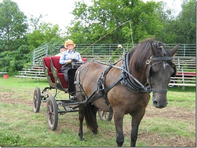 Le Festival au Galop de Saint-Lazare "saute" son tour cette année