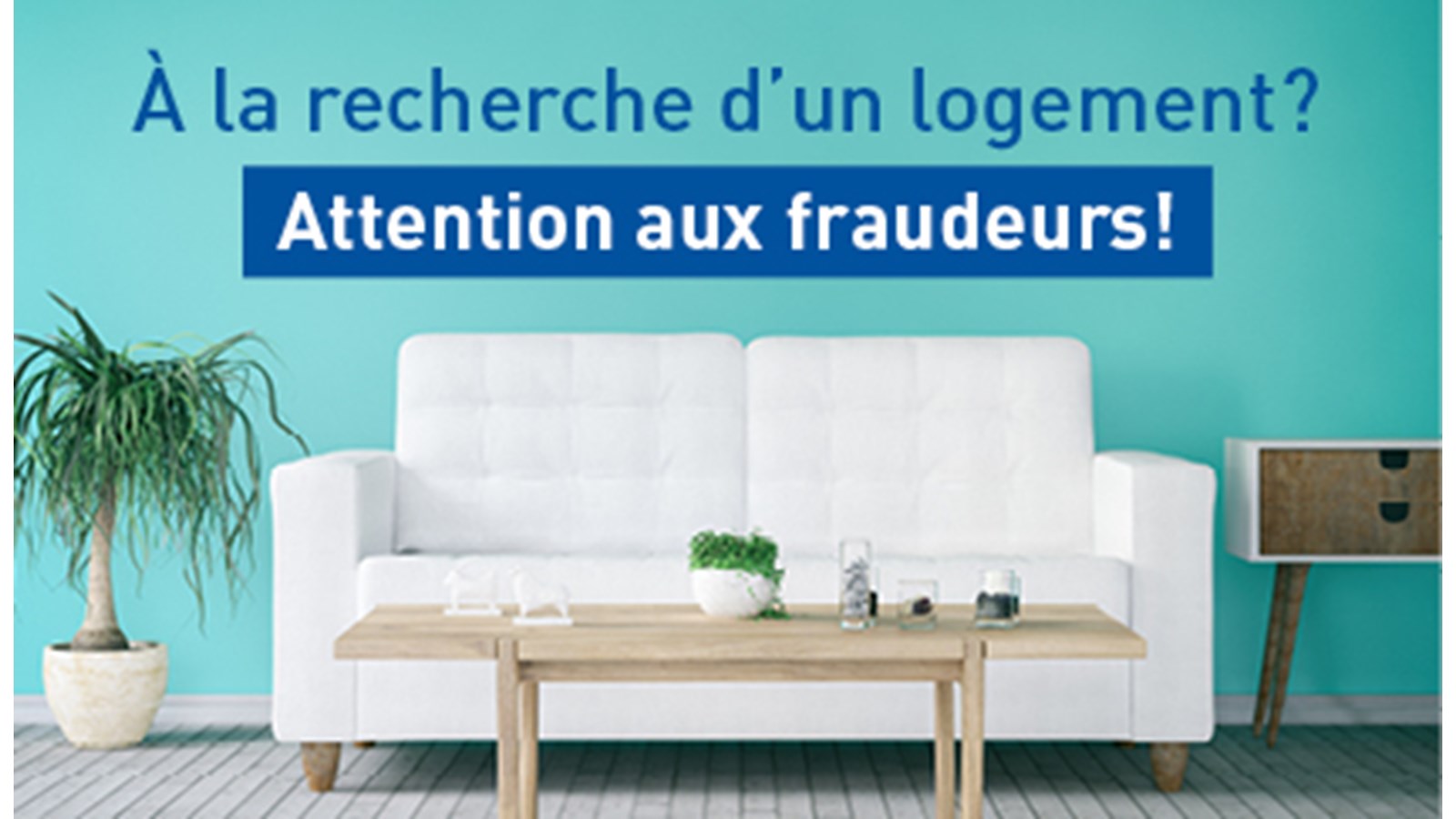 L'an passé, près de 70 plaintes ont été faites au SPVM en lien avec la fraude du logement...