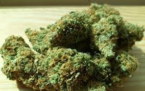 Perquisition à Rigaud : drogue et armes prohibées ont été saisies