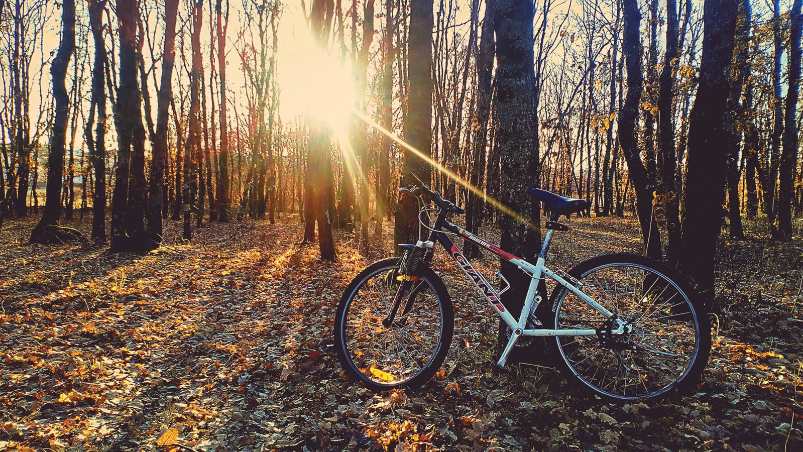 Cet été, joignez-vous au club de vélo de montagne de Mont Rigaud
