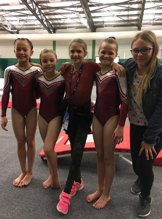 Gymini fait bonne figure à la Coupe Provinciale de gymnastique artistique