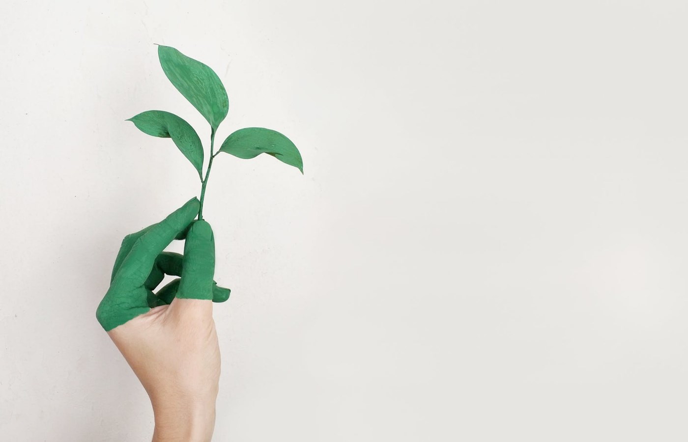 Exercez votre pouvoir démocratique au nom de l'environnement