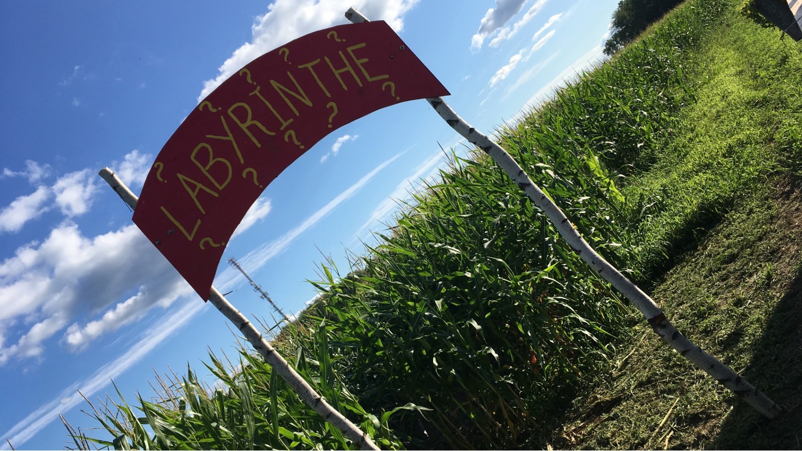 Le Domaine La Belle, situé sur la route 201 à Coteau-du-Lac offre plusieurs activités pour toute la famille 

