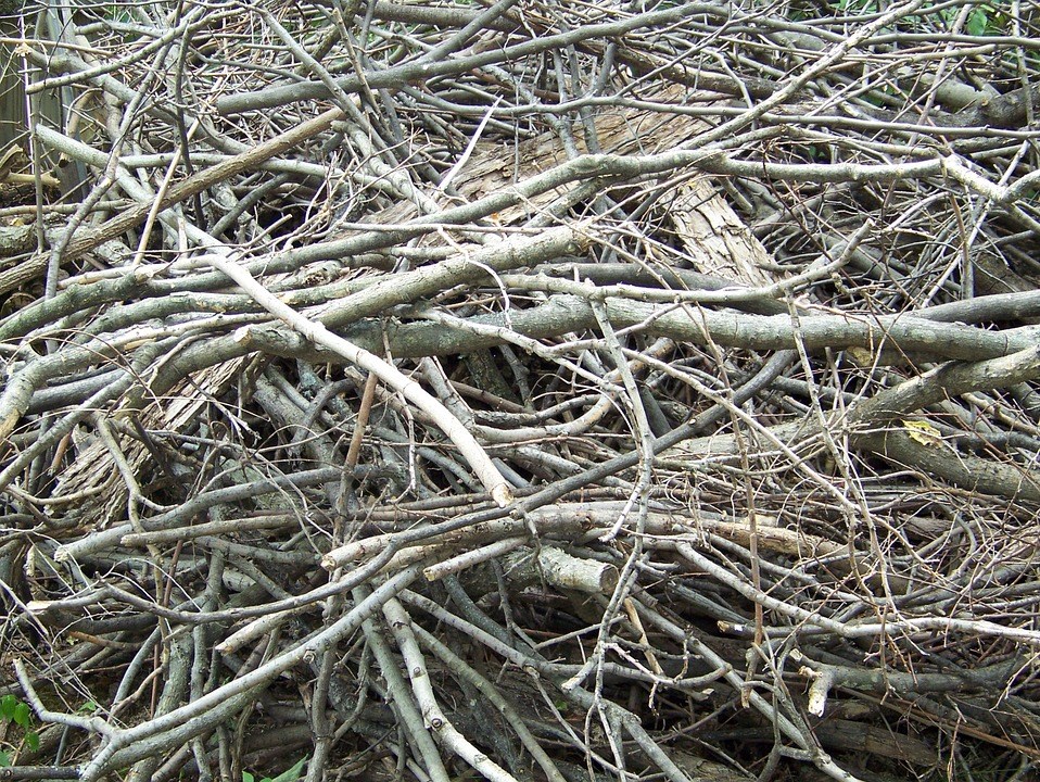 Collecte de branches : la ville de Saint-Lazare rappelle les critères à respecter