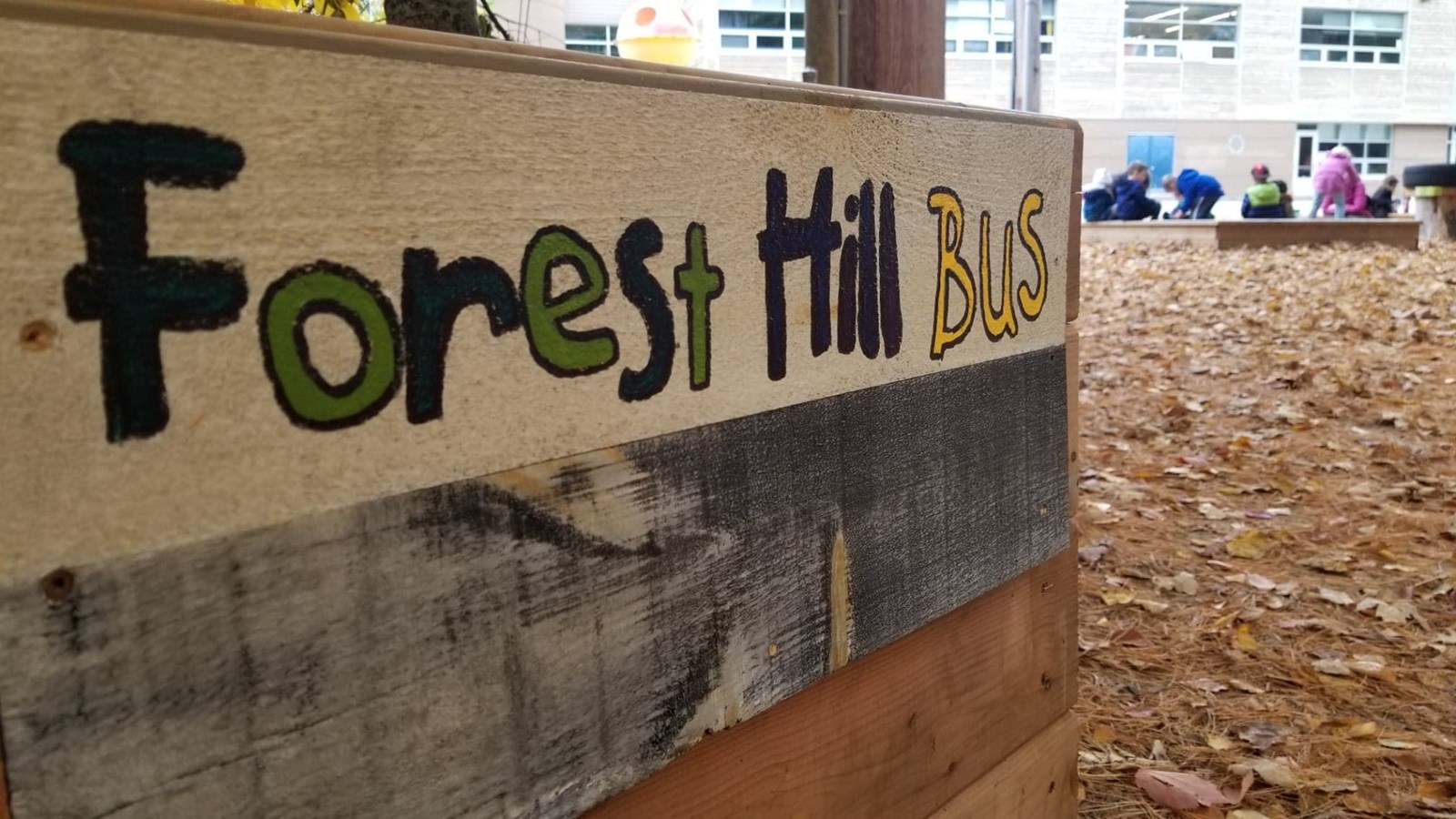Quand la forêt devient une salle de classe