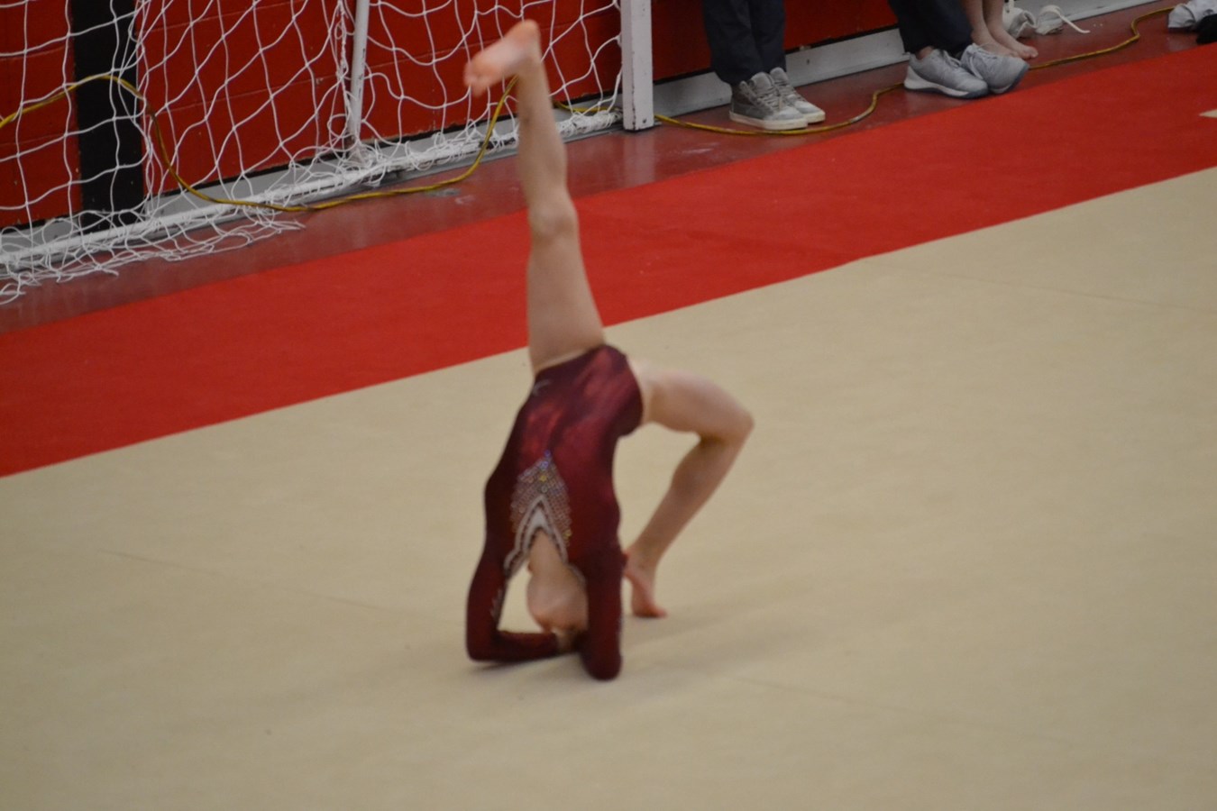 Gros weekend pour 16 athlètes de Gymini