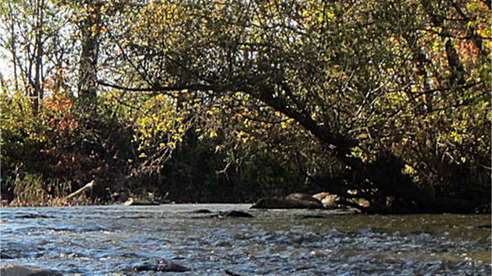 La rivière Delisle à Saint-Polycarpe accueillera les amateurs de canoé-kayak-vélo le 4 mai prochain.