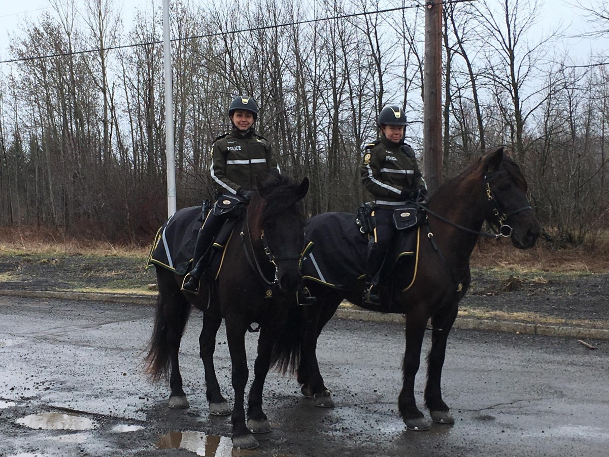 La SQ fait appel à sa patrouille équestre à Rigaud