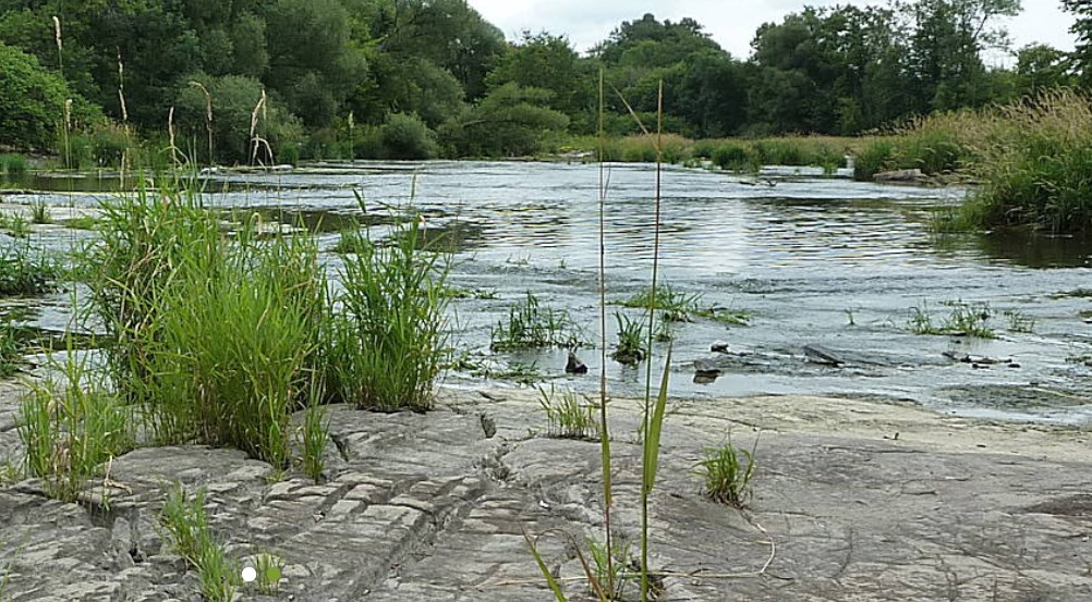 Découvrez la rivière Delisle lors de l'Excursion en canoë-kayak-vélo du COBAVER-VS