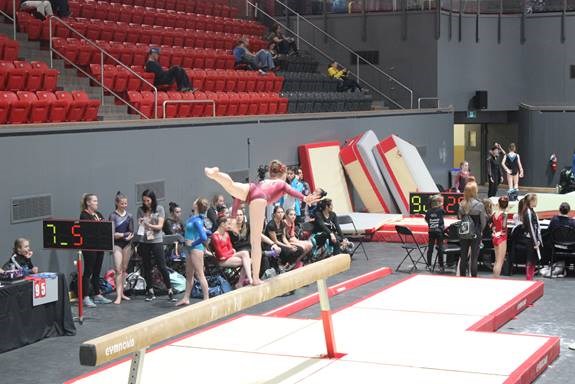 Les gymnastes de Gymini rapportent 20 récompenses de la Coupe provinciale 2019