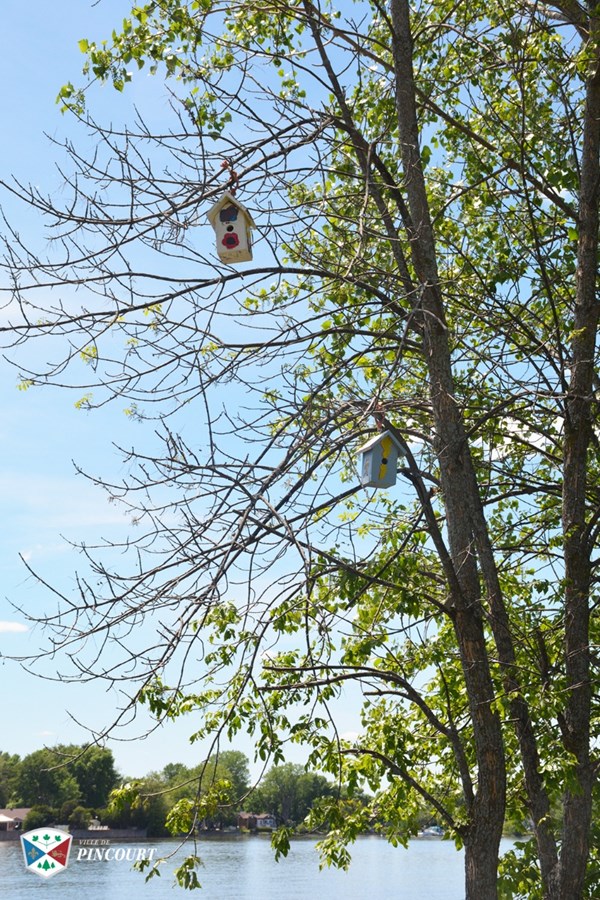 Une cinquantaine de cabanes d'oiseaux décorent deux parcs de Pincourt