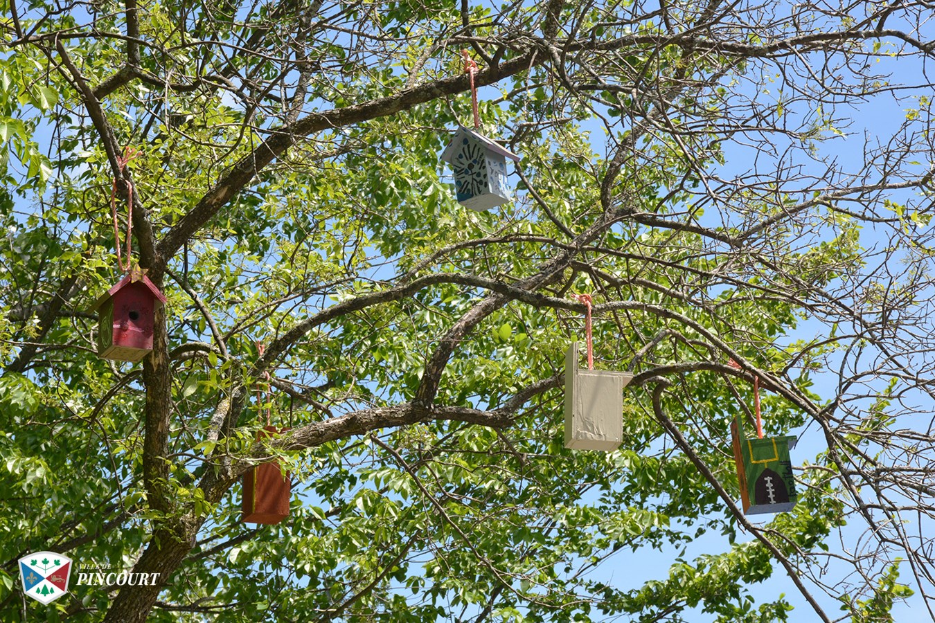 Une cinquantaine de cabanes d'oiseaux décorent deux parcs de Pincourt