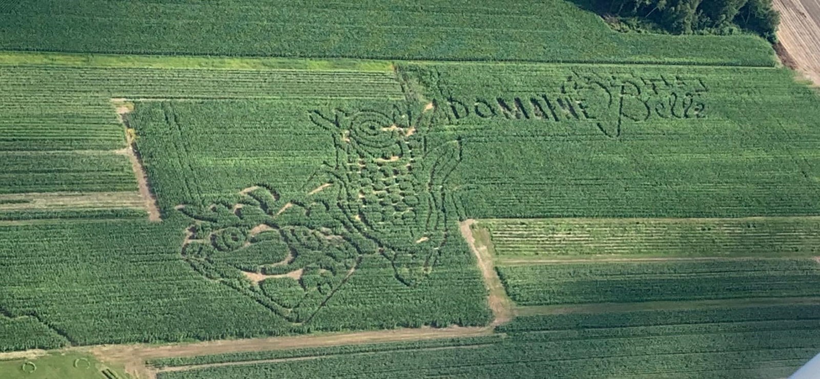 Le Belle de Coteau-du-Lac et la Ferme Isabelle vous ouvrent leurs portes le 8 septembre