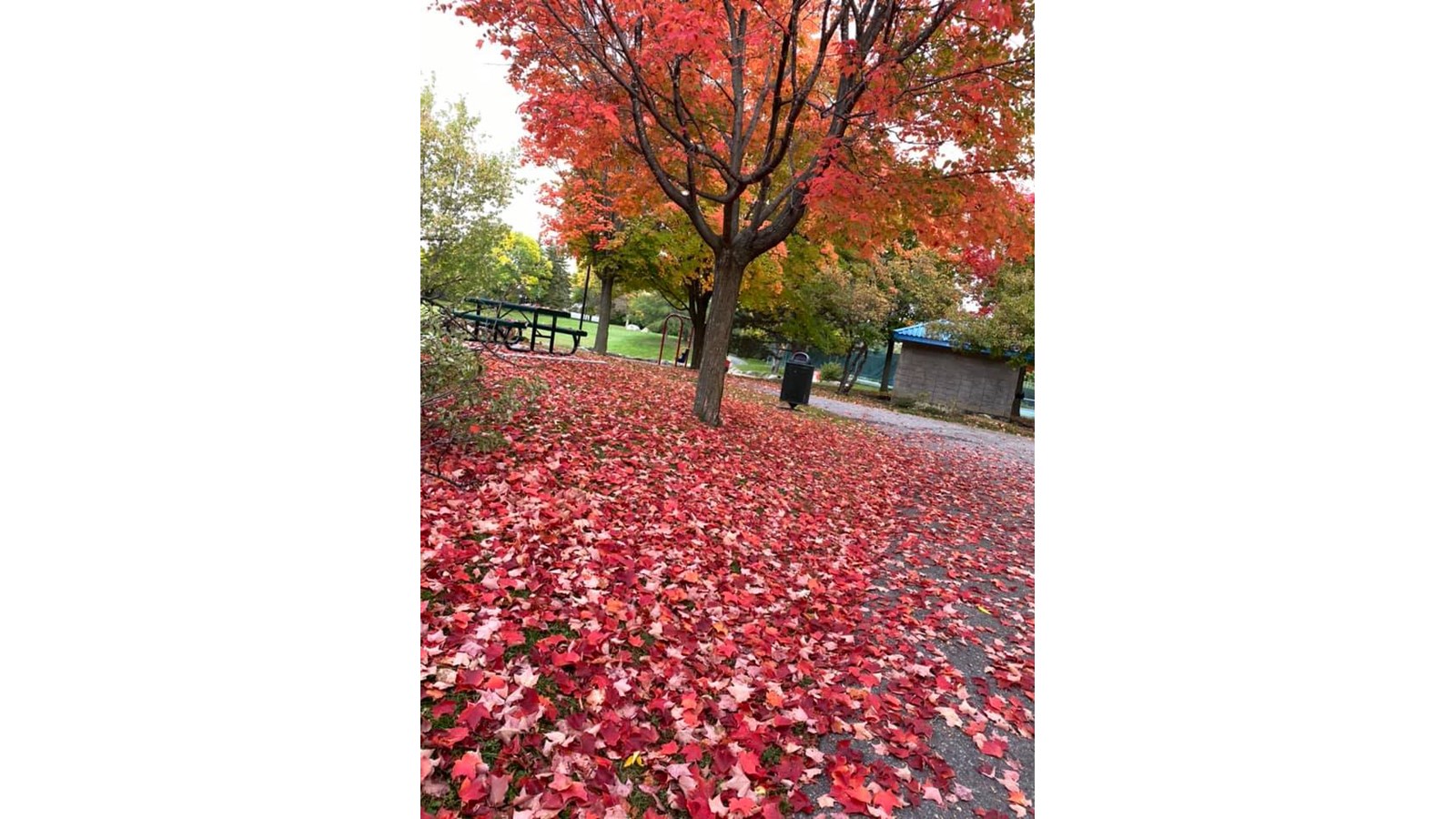 Partagez-nous vos photos des couleurs de Vaudreuil-Soulanges - Galerie 4