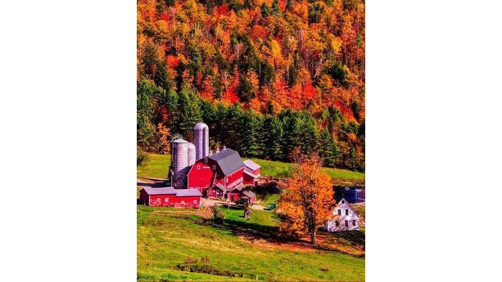 Partagez-nous vos photos des couleurs de Vaudreuil-Soulanges - Galerie 4