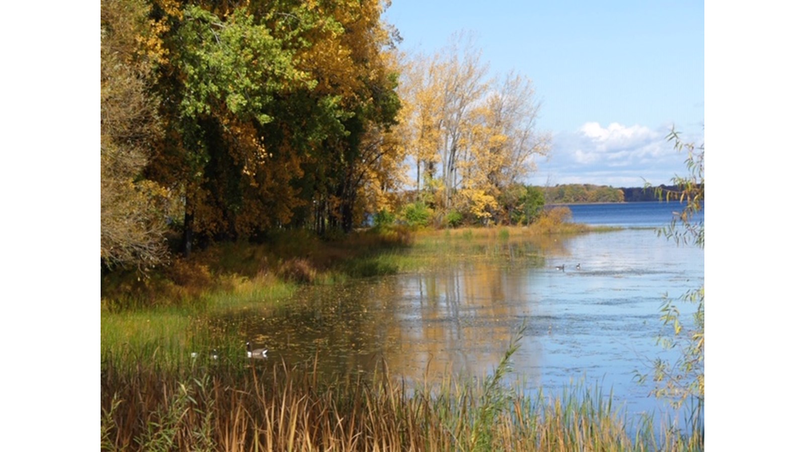 Les couleurs de Vaudreuil-Soulanges - Galerie 5