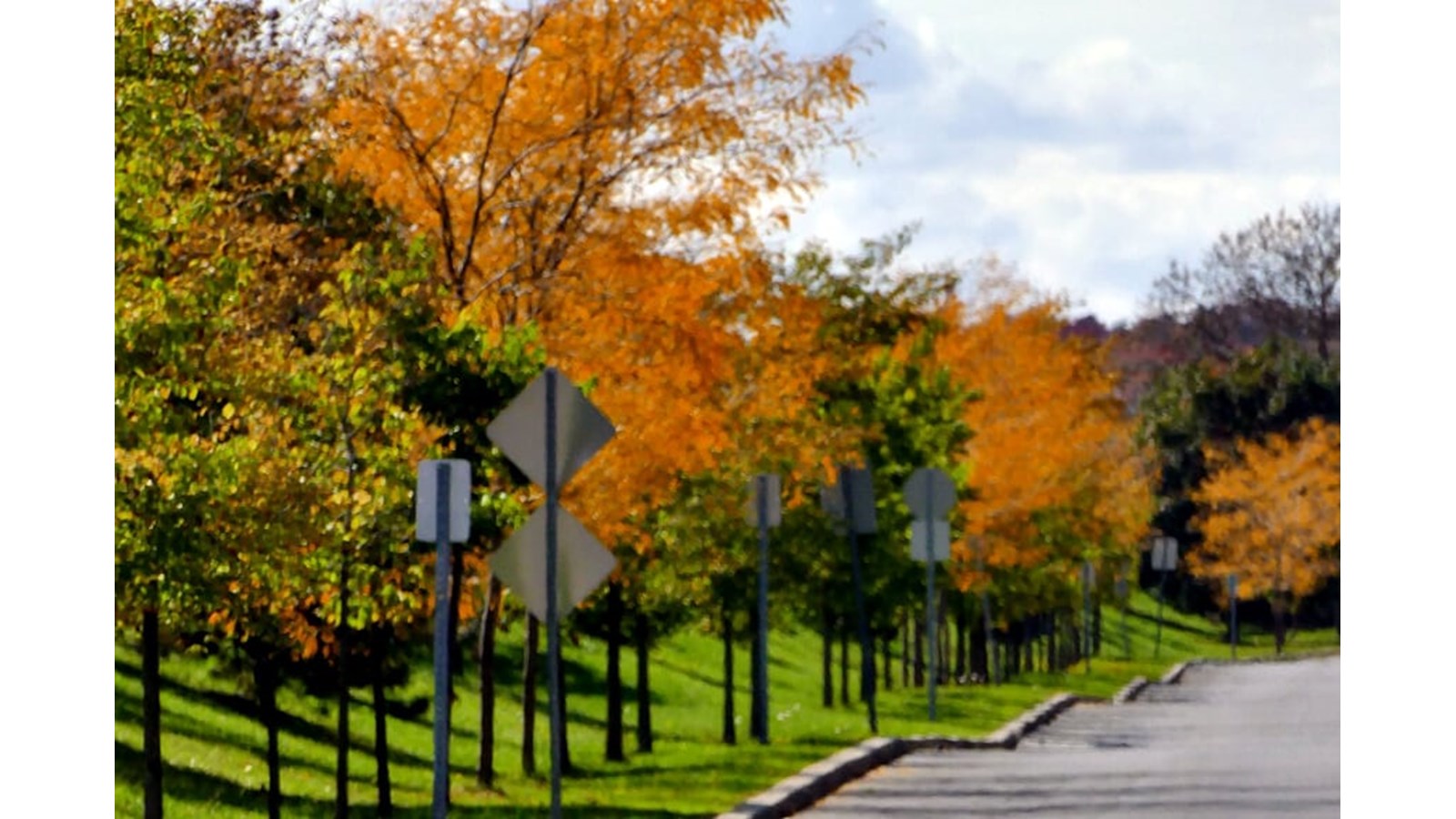 Les couleurs de Vaudreuil-Soulanges - Galerie 5