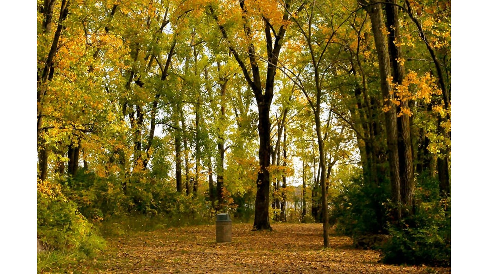 Les couleurs de Vaudreuil-Soulanges - Galerie 5