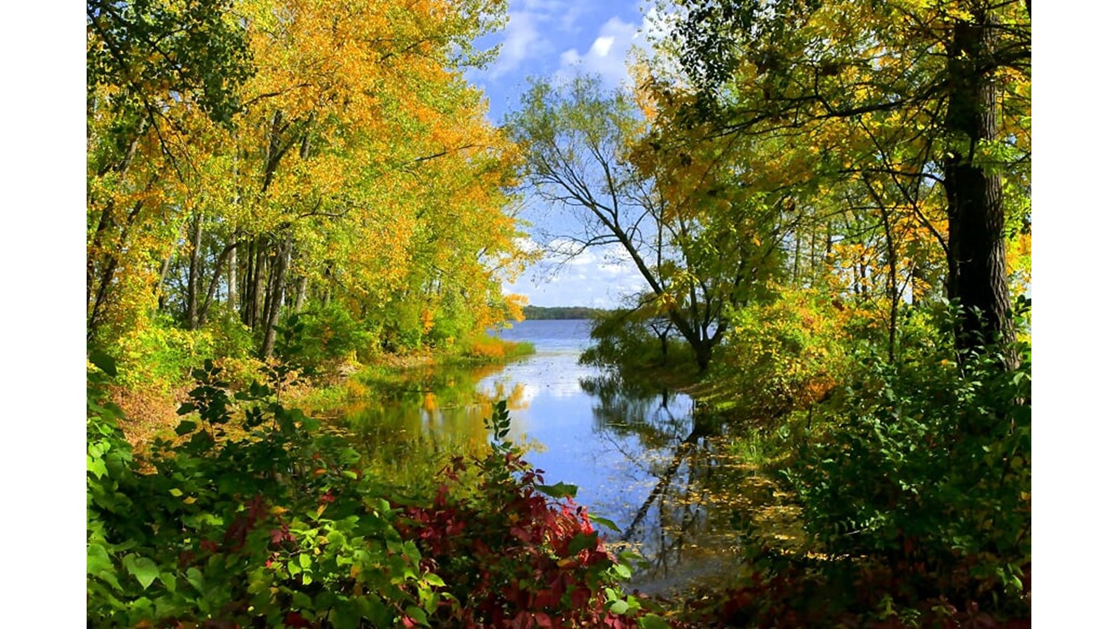 Les couleurs de Vaudreuil-Soulanges - Galerie 5