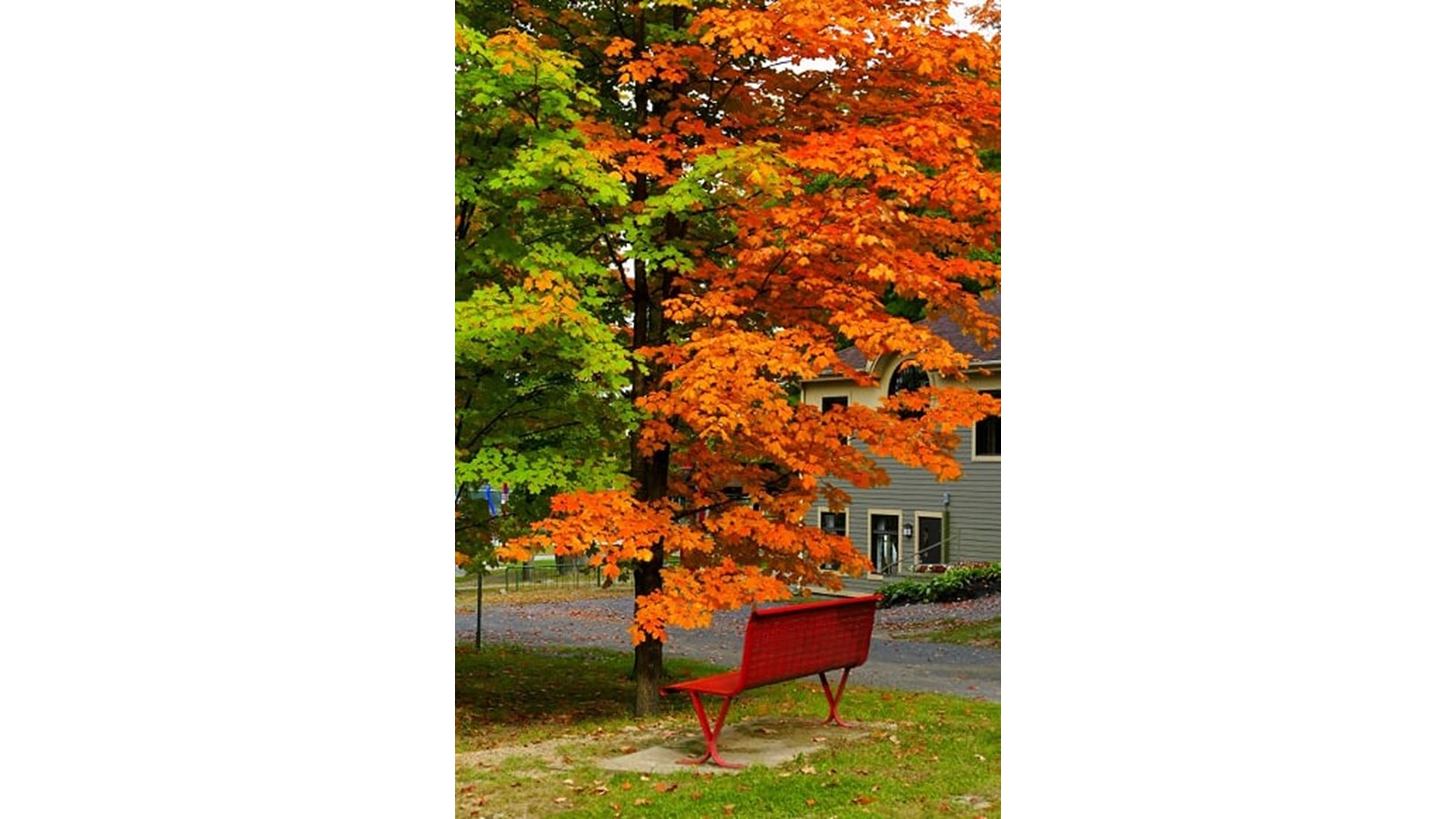 Les couleurs de Vaudreuil-Soulanges - Galerie 5