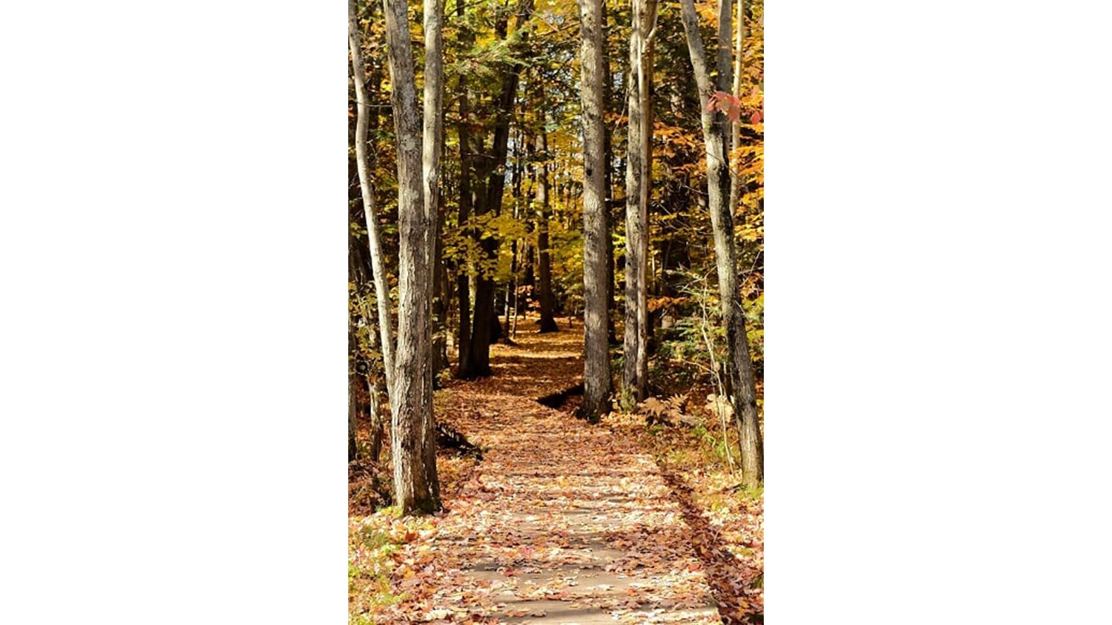 Les couleurs de Vaudreuil-Soulanges - Galerie 5