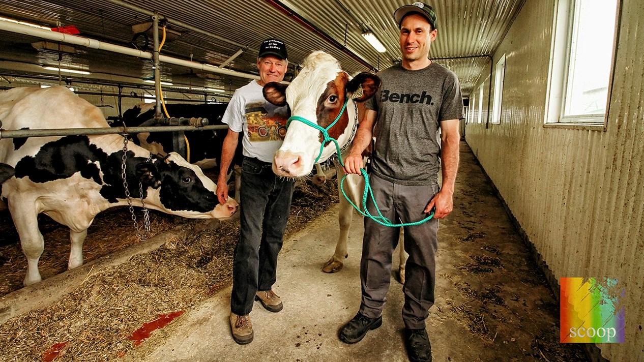 Sur la photo, on retrouve Yoland Pilon, la vache Octarina et Guilaume Pilon qui font partie des lauréats du Concours Lait'Xcellent 2019. 