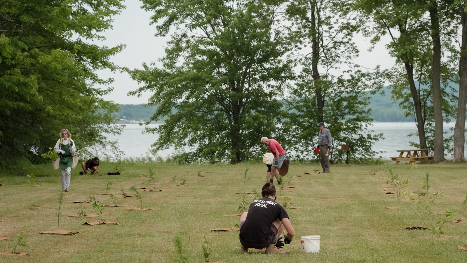 Le samedi 27 juin dernier, un important projet de reboisement de 550 arbres et 200 arbustes a été complété à Hudson à la suite à d'une initiative menée par la Ville avec la coopérative Arbre-Évolution.