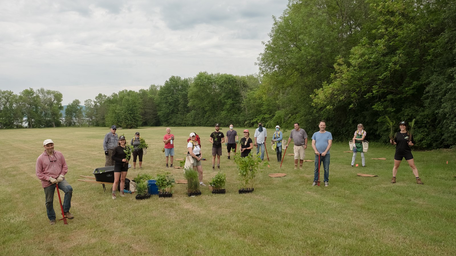 Les arbres et arbustes ont été plantés au Parc Thompson dans l’optique d’embellir le milieu de vie.