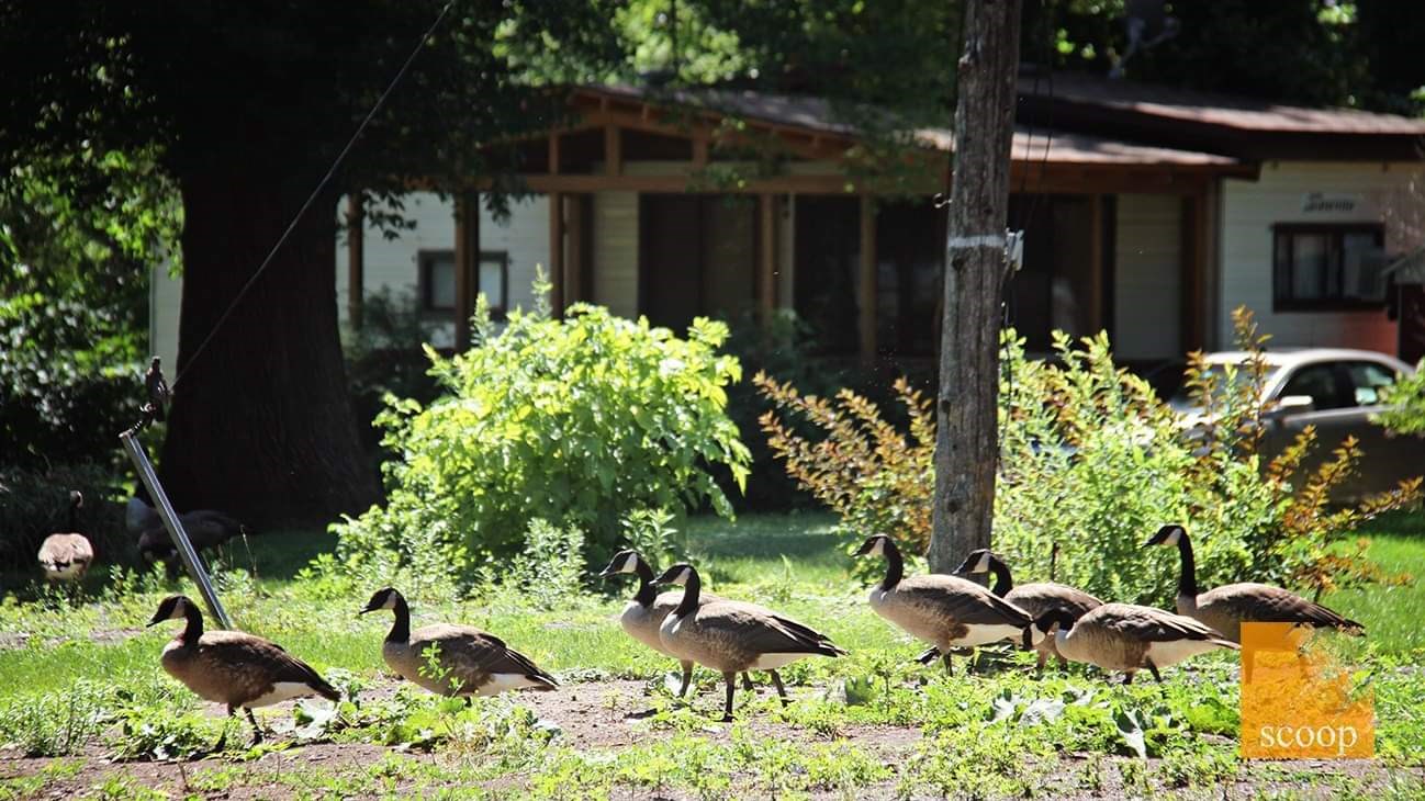 Un site de camping laissé à l’abandon à Coteau-du-Lac