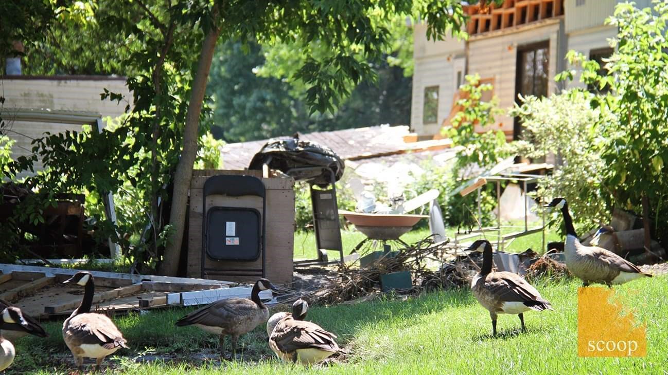 Un site de camping laissé à l’abandon à Coteau-du-Lac