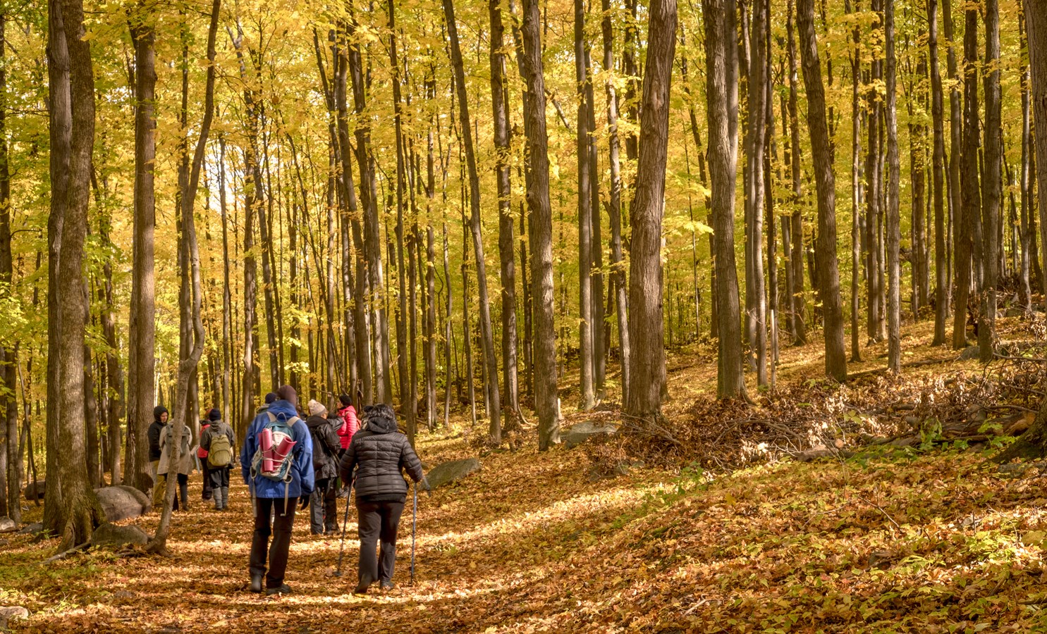 Accès limité aux Sentiers de L’escapade dès le 21 septembre